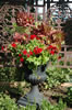 My Gallery: Image