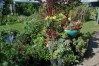 Succulent Planter