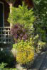Vales Gallery